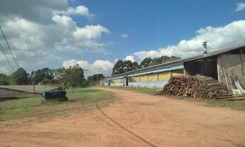 Imagem 3: Granja 100 mil frango, poço artesiano, casa boa, bom de água, piscina, 2 tanques de peixe