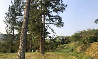 Imagem 4: Sítio à venda no Bairro da Biquinha - Exclusividade - Amparo - SP