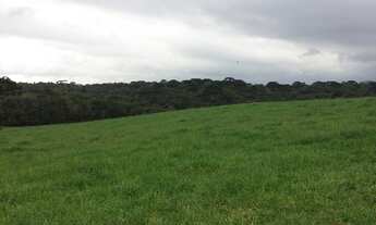 Imagem: Chácara com 78605 m2 Cachueira 2.000.000.00