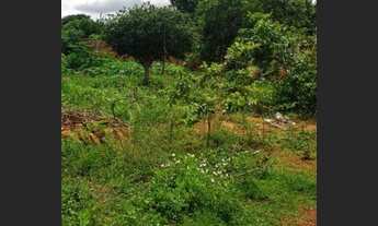 Imagem 2: Trindade - Terreno Padrão - Setor Mariápolis