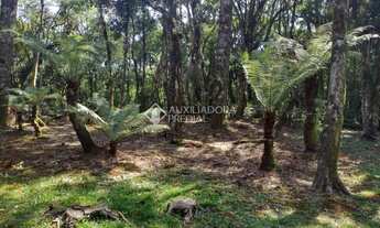 Imagem 3: GRAMADO - Terreno Padrão - Vila Moura