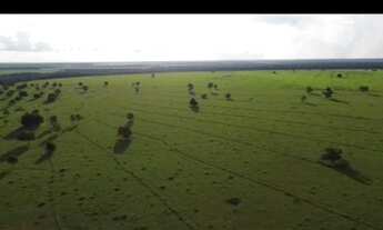 Imagem 2: Vende-se um espetáculo de fazenda 4 512 hectares