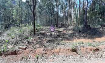 Imagem: Terreno residencial para Venda em Bosque