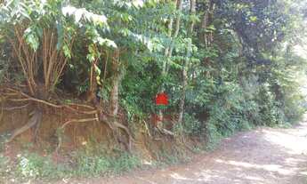 Imagem 2: Excelente terreno plano no Cônego!