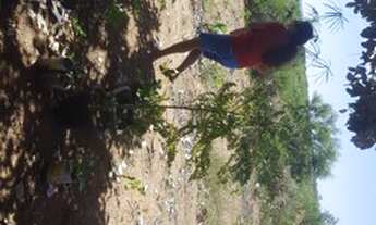 Imagem 2: Terreno rural em Mucuge