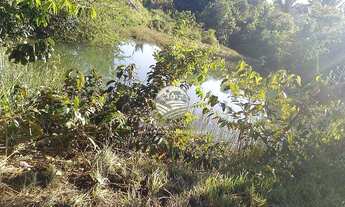 Imagem 7: Machadinho D'Oeste - Sítio - 15 alqueires