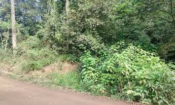 Imagem 4: Bela área 4.8ha, com área plana, fundos no rio caraá