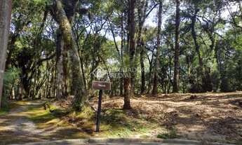 Imagem 7: GRAMADO - Terreno Padrão - Vila Moura