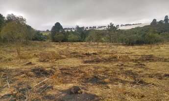 Imagem 4: Lote/Terreno para venda possui 500 metros quadrados em Verava - Ibiúna - SP