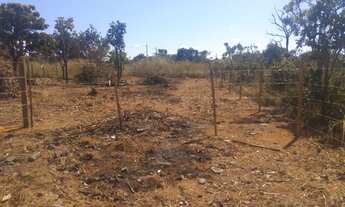 Imagem 2: Lote na lagoa dos queimados palmital