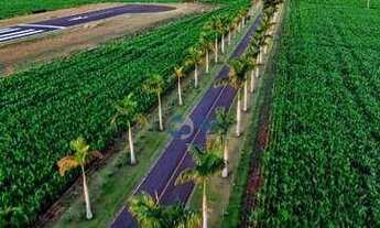 Imagem 3: Terreno Estância Punta Del Leste Sertaneja