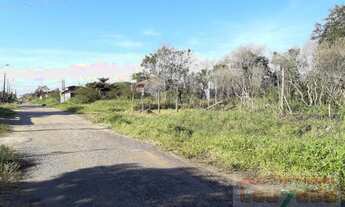 Imagem 2: Terreno para Venda em Peruíbe, Josedy