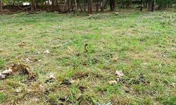 Imagem 2: Terreno para alugar, 5046 m² por R$ 15.000,00/mês - Recreio Anhangüera - Ribeirão Preto/SP