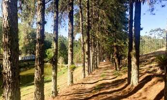 Imagem 6: Grande oportunidade de Sítio em Ibiúna!