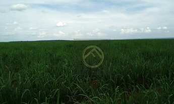 Imagem 2: Fazenda à venda, 3242800 m² - Centro - Nova Aurora/PR