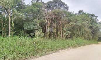 Imagem 4: Vendas Área Colombo PR