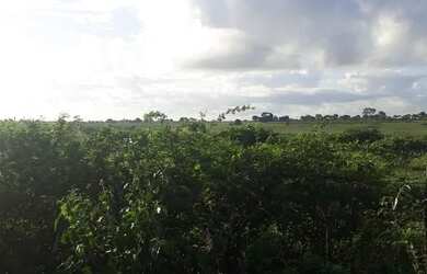 Imagem 4: Excelente Fazenda com 42 hectares próximo ao córrego