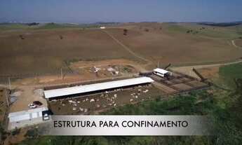 Imagem: Fazenda Completa com Vacas, Touros, Tratores