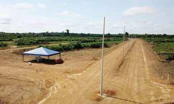 Imagem 6: Passo lote na cidade universitaria