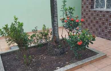 Imagem 2: Casa linear 3 quartos na vila nova