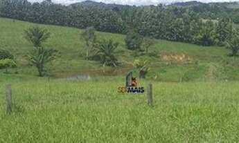 Imagem 6: Sítio à venda por R$ 2.520.000 - Zona Rural - Jaru/RO