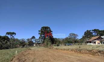 Imagem 2: Terreno à venda, 690 m² por R$ 170.000,00 - Bateias - Campo Largo/PR