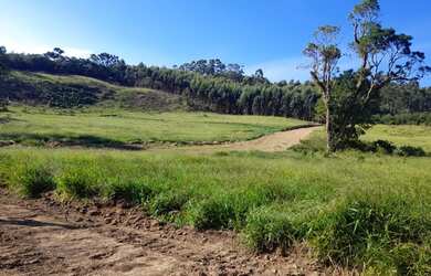 Imagem 3: TERRENO BOM E BARATO SO EM NAZARE PAULISTA