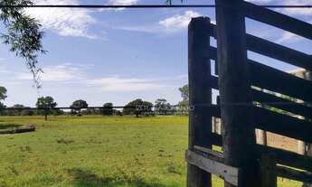 Imagem 4: Fazenda Pousada 30 Quartos Cuiabá - MT