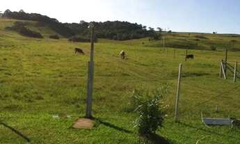 Imagem 6: LAJEADO GRANDE - Chácara - LAJEADO GRANDE