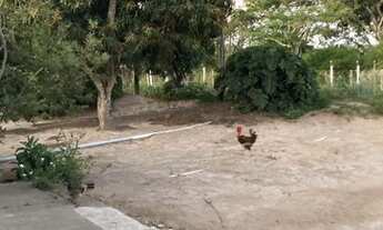 Imagem 7: Vendo Fazenda 66 hectares pronta