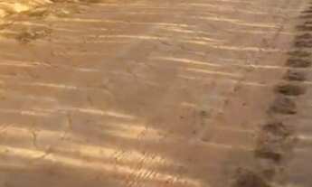 Imagem 5: Fazenda Agrícola de 240 alqueires em Caiapônia/GO