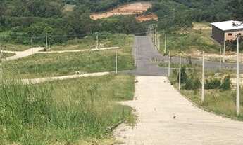 Imagem 4: Loteamento Vale dos Pinhais, Bairro São Ciro