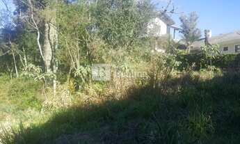 Imagem 2: Gramado - Terreno Padrão - Vale das Colinas