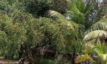 Imagem 4: SITIO RURAL em CAMAÇARI - BA, AREMBEPE