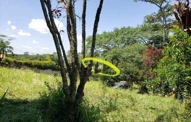 Imagem 6: Área à venda, 5000 m² por R$ 1.200.000,00 - Chácara Recanto Verde - Cotia/SP