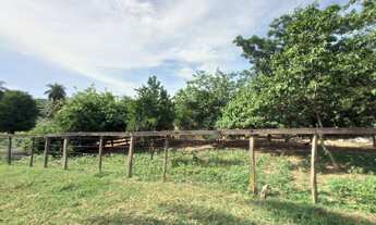 Imagem 2: Fazenda porteira fechada Formosa Goiás Beserra