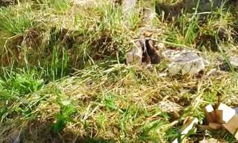 Imagem 4: Terreno Oportunidade