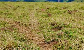 Imagem 4: Lote/Terreno para venda com 500 metros quadrados em Jardim Brasil - Guarulhos - SP