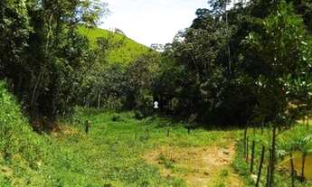 Imagem 4: Maraviloso sítio 15 hectares