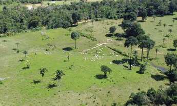 Imagem 5: Fazenda Lago Preto/Lábrea-AM
