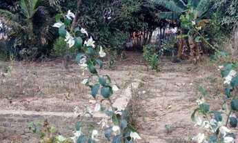 Imagem 4: Lote em rua pública