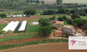 Imagem 2: Sitio a venda ótima para planatação p/ soja e milho. Água abundante, casas, barracão, uma