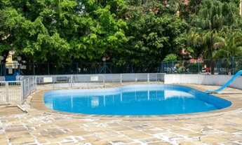 Imagem 3: Parque das Flores São Bernardo do Campo