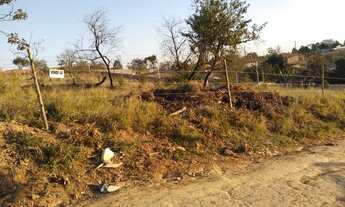 Imagem 3: Lindo terro com ótima topografia!