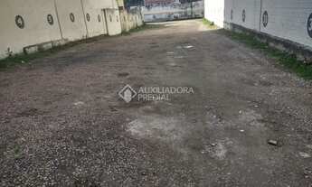 Imagem 5: PORTO ALEGRE - Terreno Padrão - Partenon