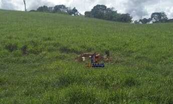 Imagem 5: Sítio à venda por R$ 2.520.000 - Zona Rural - Jaru/RO