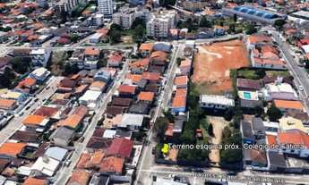 Imagem: Capoeiras terreno próximo colégio de Fátima