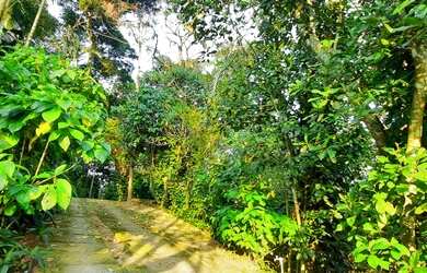 Imagem 5: Casa maravilhosa com ótimo terreno em rua sem saída