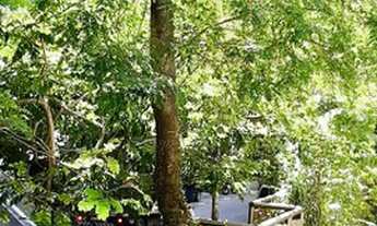 Imagem 4: 3 QUARTOS - DEPENDÊNCIA COMPLETA - VISTA INDEVASSÁVEL - PRÓXIMO AO SHOPPING LEBLON - PORTA