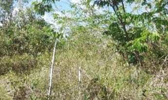 Imagem 6: TERRENO RESIDENCIAL em CAMAÇARI - BA, COQUEIROS DE AREMBEPE (ABRANTES